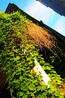 P7300935