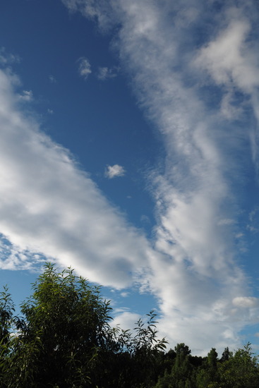 P7100090