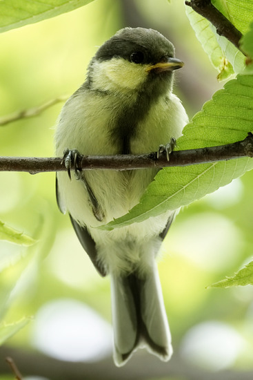 _DSC6208_DxO