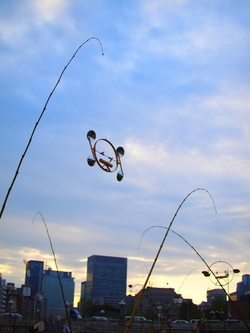 P8271558