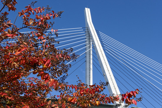 _DSC0477_DxO
