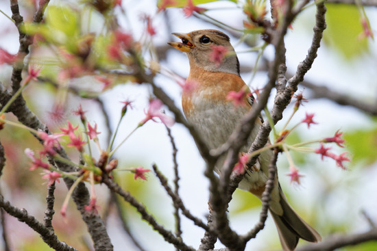 DSC_4585_DxO