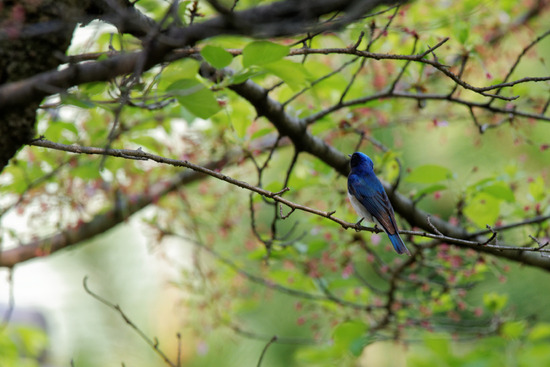 DSC_4441_DxO