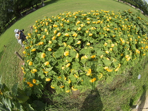 P8156081