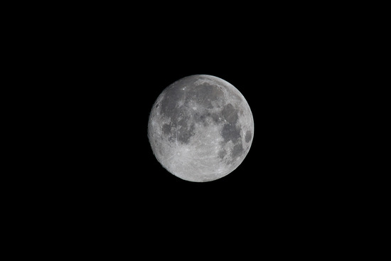DSC_7856