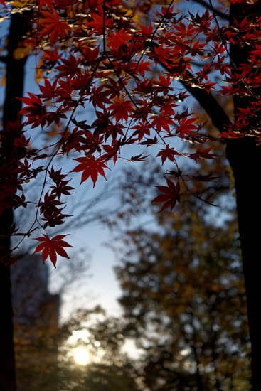 _DSC0069_DxO