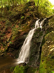 P4270047