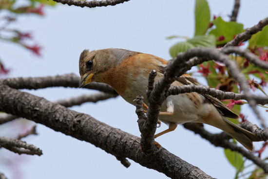 DSC_4566_DxO