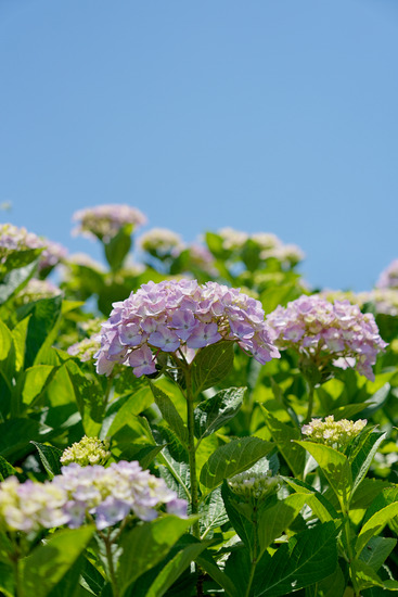 _DSC1530_DxO