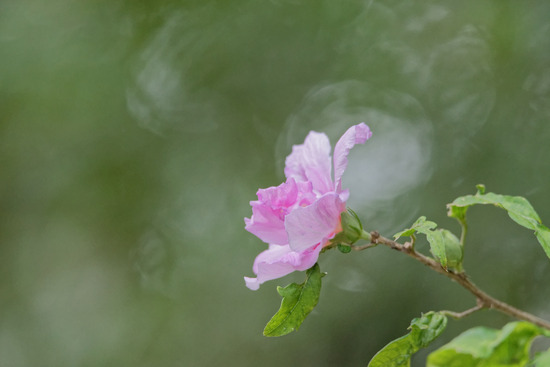 _DSC8467_DxO