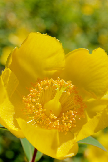 _DSC1524_DxO
