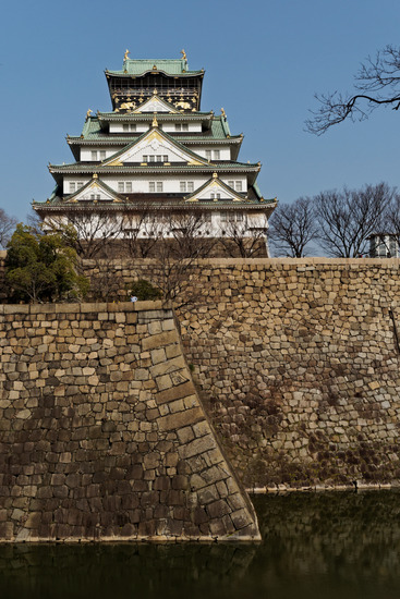 _3210550_DxO
