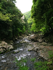 P4270030