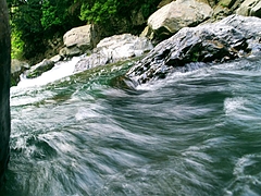 P4270024