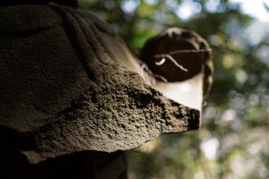 _3030154_DxO
