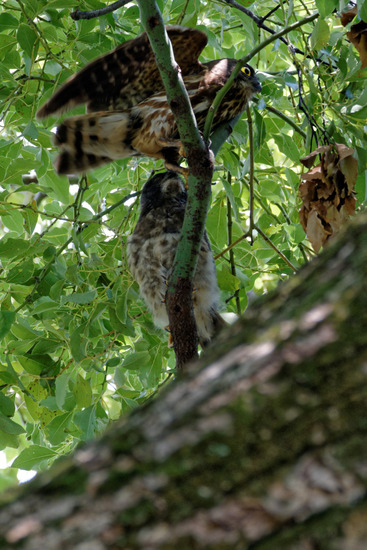 _DSC2476_DxO