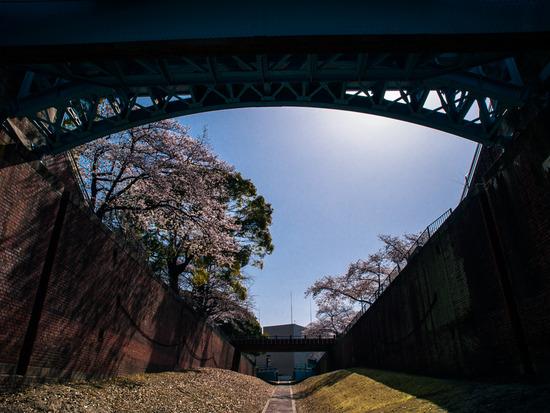 P3300038