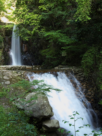 P5290931