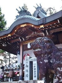P1101795