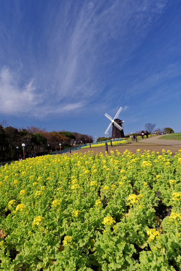 _DSC2964_DxO
