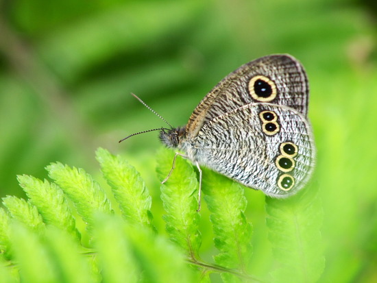 P7270002