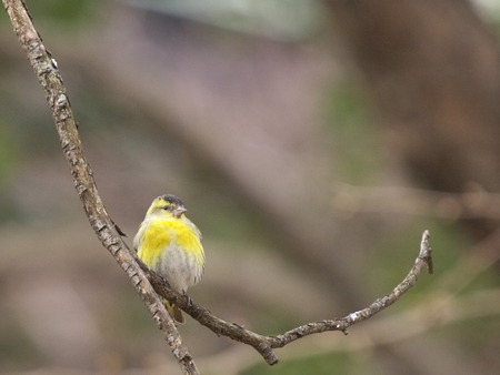 P2050145