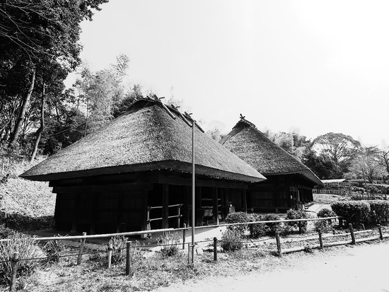 P4027937