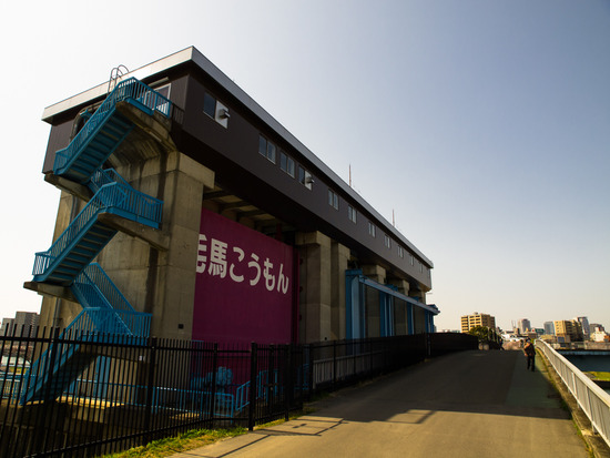 43E53968