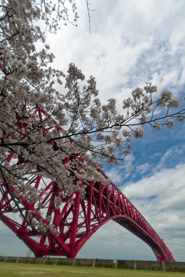 _DSC4209_DxO