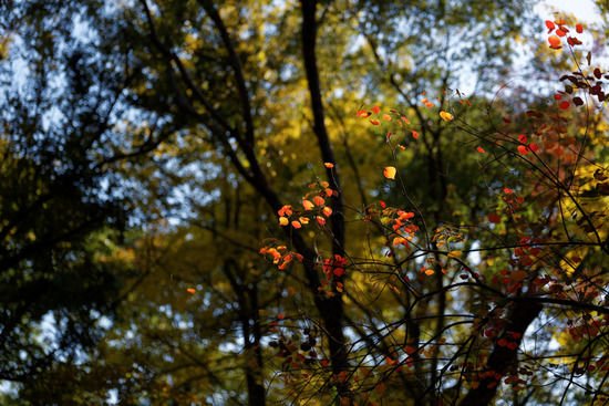 _DSC9674_DxO