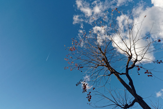 _B270014_DxO