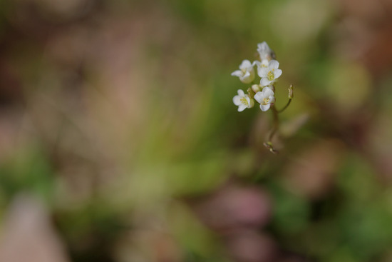 _DSC2780_DxO