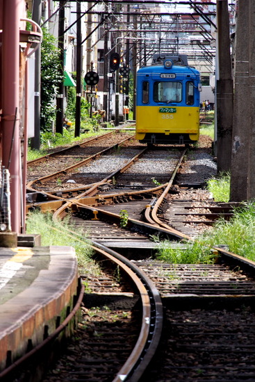 EM576218