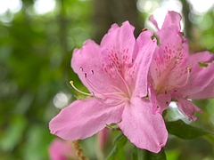 P4270072
