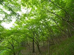 P4270080