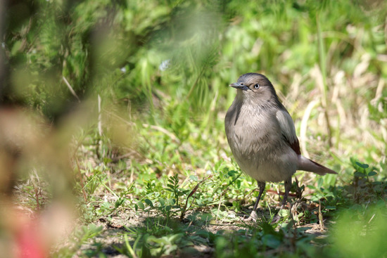 _DSC3157_DxO