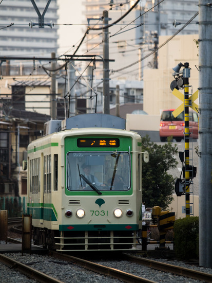 43E50659