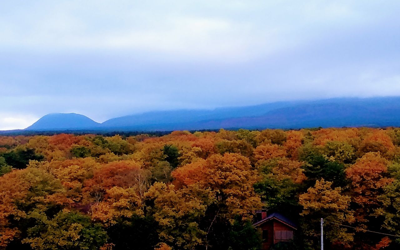 20181023_162131~2