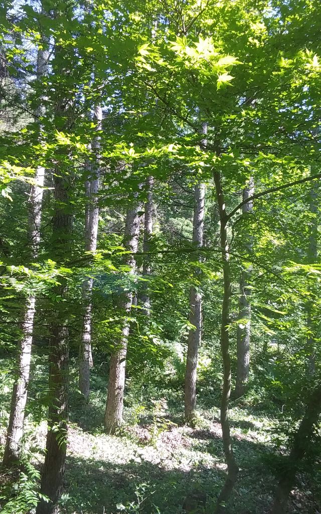 20180614_075416