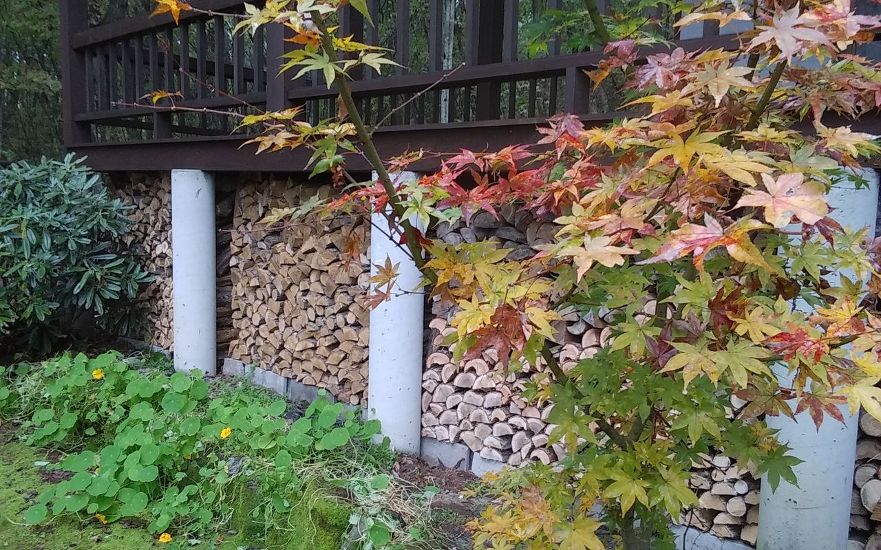 20181019_084713