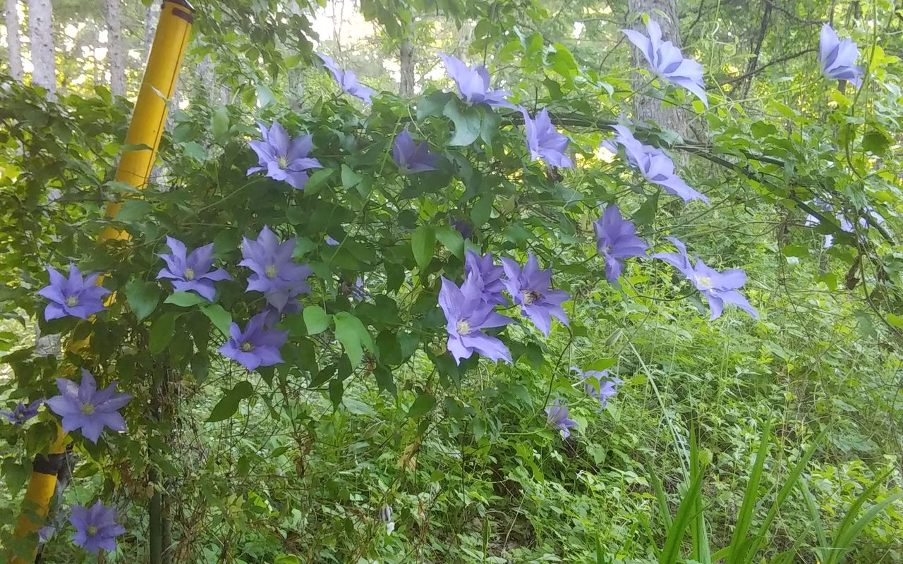 20180604_165550