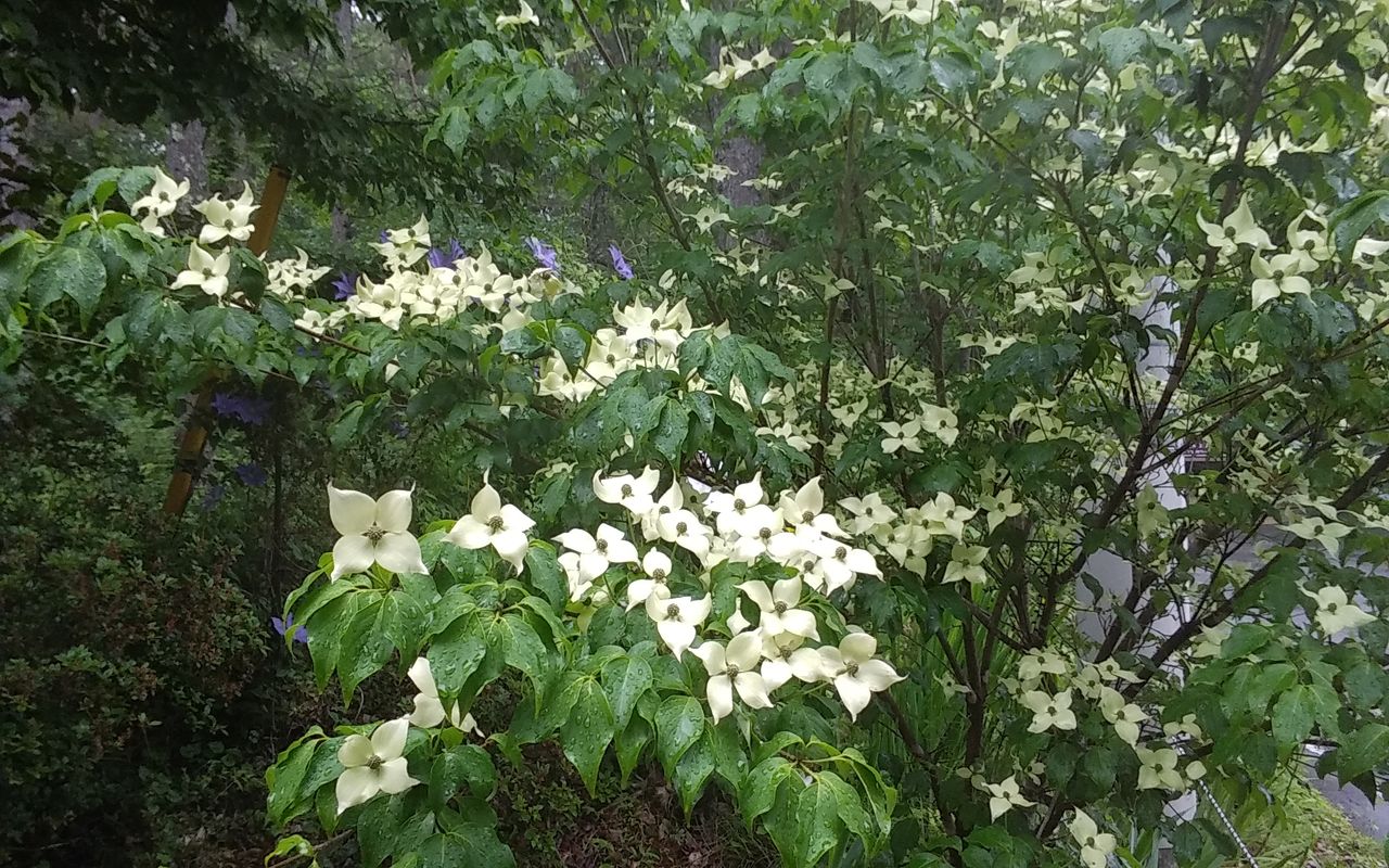 20180606_093532
