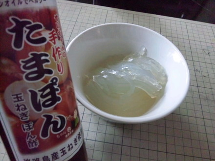 SH3L0683