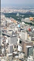 DSC_0475 (2)