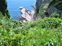 IMG_3966