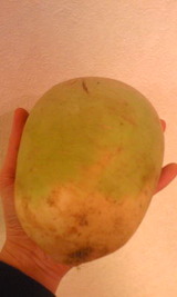 4e587701.jpg