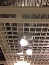 IMG_2238