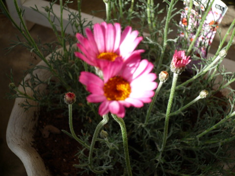 P1110952