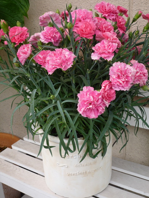 P1110674