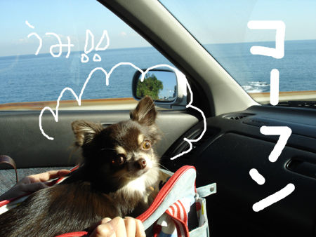 izu010